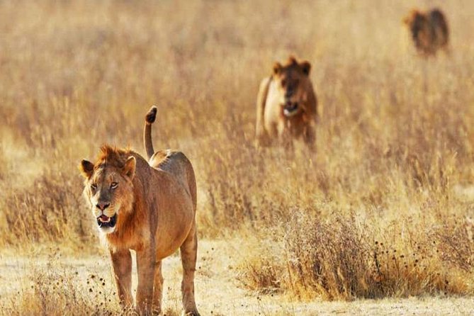 Tsavo East National Park