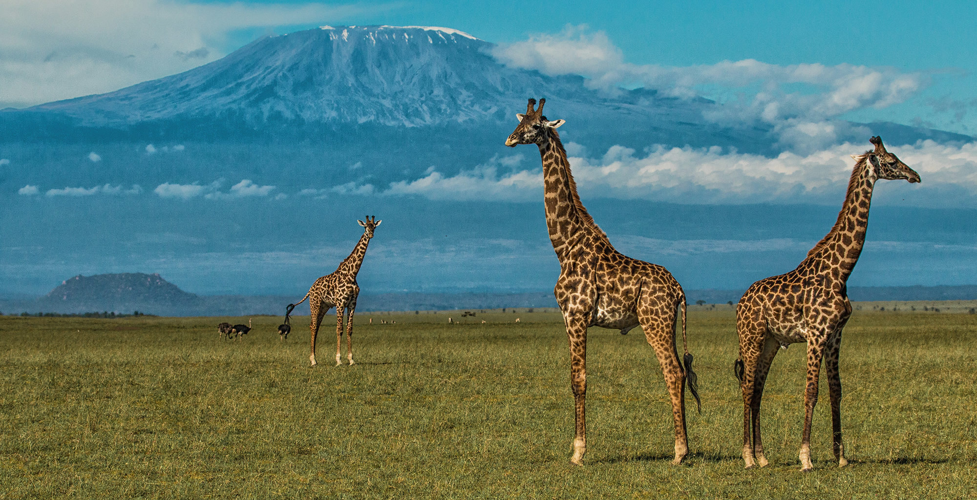 10 days self drive safari in Kenya and Uganda